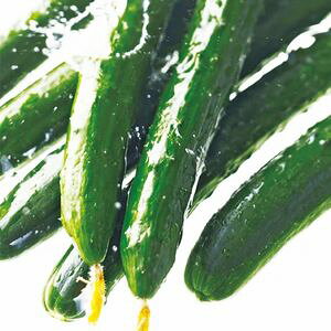 イq@vČ琬@ZRT}[fB@350