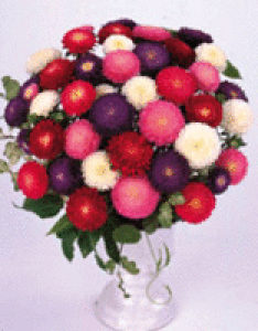 AX^[q TJ^̃^l AX^[ ݍ 