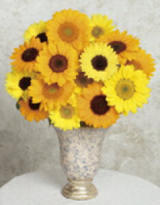 Ђ܂q TJ^̃^l Ђ܂@rZg ~bNX 