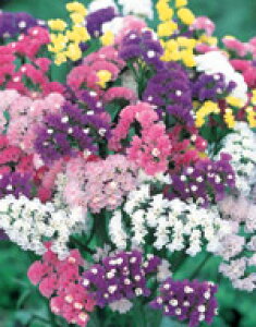 X^[`Xq TJ^̃^l X^[`X ؂ԗp F 