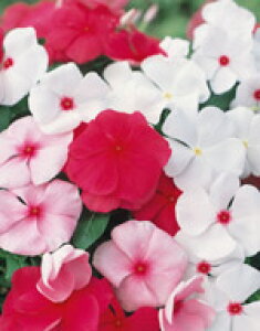 j`j`\EiXjq TJ^̃^l X p[h~bNX 