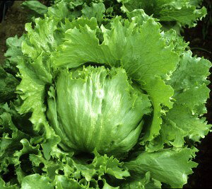 ^Xq@JlRc@WfB@ybg5000