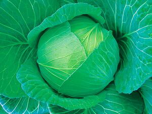 Lxcq@{_юЁ@͂@ybg5000