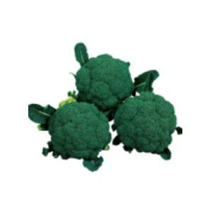 ubR[q@TJ^̃^l@΂́@2000