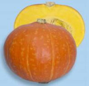ڂq nӍ̎ g݁iႭj@
