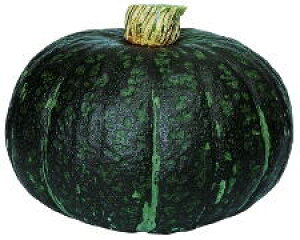ڂq nӍ̎ 肱2@