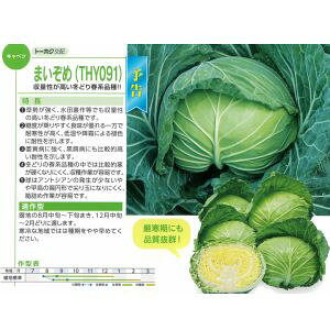 Lxcq g[zN ܂ R[g5000