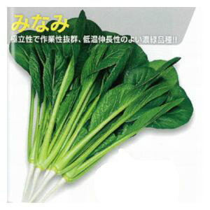 ؎q@g[zN@݂Ȃ݁@20ml