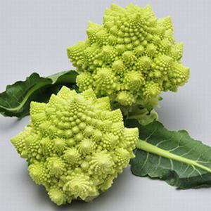 Jt[q@nӔ_@lIEXpC@1000@q