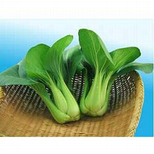 `QTCq@nӔ_@jCnIV1@R[g5000