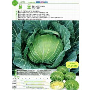 Lxcq g[zN ї iɂj R[g5000