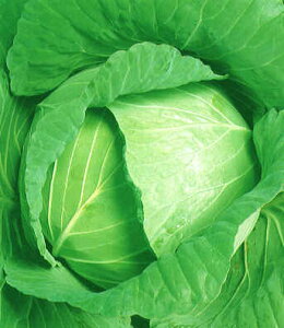 Lxcq@{_юЁ@YR@ybg5000