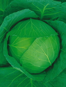 Lxcq@{_юЁ@2@ybg5000