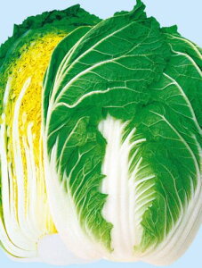 ؎q@{_юЁ@Vz@R[g5000