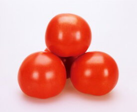 トマト種子　カネコ種苗　SR彩福　小袋