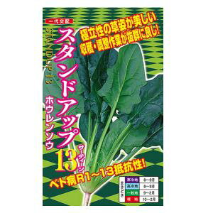 ق񑐎q@igc@X^hAbv13@M3