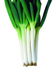 ˂q@JlRc@SUKIYAKI @ybg5000