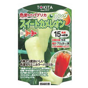 苗 パプリカの人気商品 通販 価格比較 価格 Com