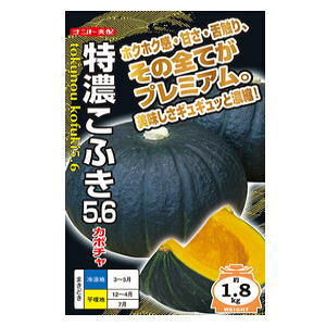 ڂq@igc@Zӂ5.6@100