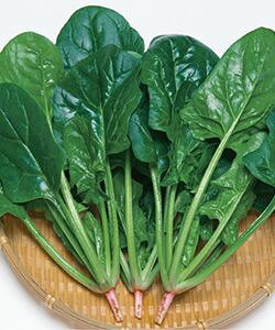 ق񑐎q@^LCc@^tXJC@M3