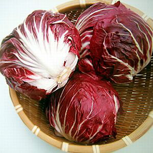 ^Xq@nӔ_@grm@R[g1000