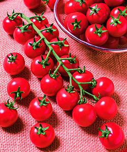 ~jg}gq @^LCc @TYʁ@1000