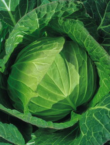 Lxcq@{_юЁ@ߋg@@ybg5000