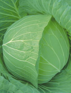 Lxcq@{_юЁ@΂@ybg5000