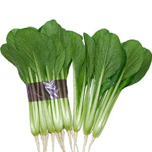 R}ciq@nӔ_@zi悤j@20ml