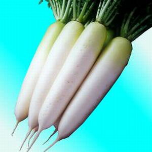 卪q@nӔ_@YRmi悤j@R[g5000