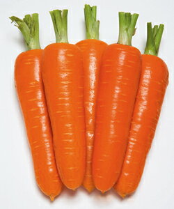 jWq @^LCc @Dni䂤܁j@ybg1