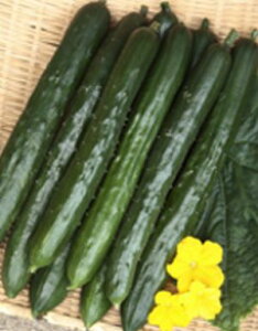 LEq@TJ^̃^l@[ƂƂ@350