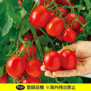 g}gq@ ̎@ ܁@ ܁i25j