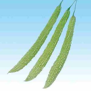 Zq@ ̎@ 咷ꂢ@ ܁i10j