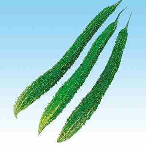 Zq@ ̎@ ܑ咷΁@ ܁i20j