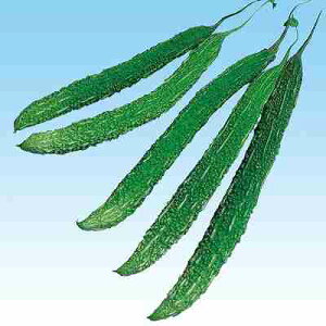 Zq@ ̎@ ܑ咷@ ܁i20j