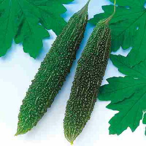 Zq@ ̎@ ꒷ꂢ@ ܁i15j