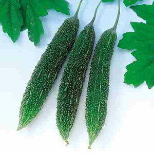 Zq@ ̎@ ߐS[300@ 100