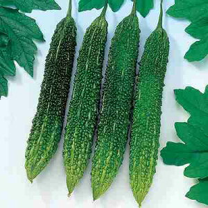 Zq@ ̎@ ߐS[320@ 100