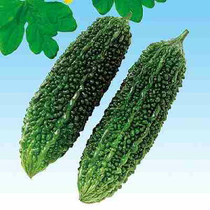 Zq@ ̎@ ߐS[230@ ܁i7j