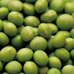 ���ގ�q�@ �����̎��@ �L���~�h���@ 1dl