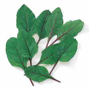 xr[[t r[gq@ ̎@ r[g@ 1L