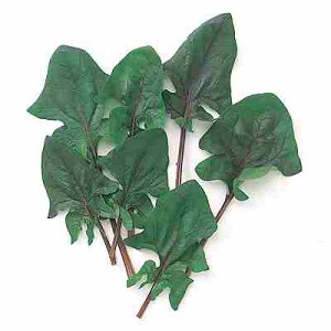 �x�r�[���[�t �@�@����q�@ �����̎��@ ���b�h�X�s�i�b�`�@ 1dl