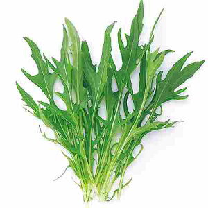 xr[[t tq@ ̎@ ~Yi@ 1dl