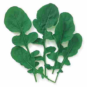 xr[[t tq@ ̎@ bR@ 1dl iPbgj