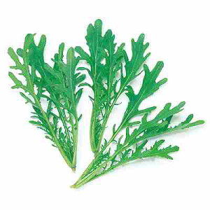 xr[[t tq@ ̎@ O[炵؁@ 1dl