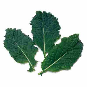 xr[[t tq@ ̎@ ubNP[@ 1dl