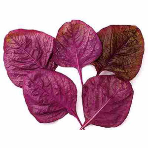 xr[[t tq@ ̎@ bhA}TX@ 1dl