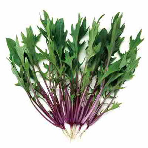 xr[[t tq@ ̎@ Ԍs~Yi@ 1dl