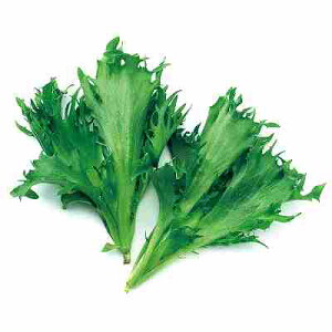 xr[[t ^Xq@ ̎@ O[NXs[@ 1dl ij